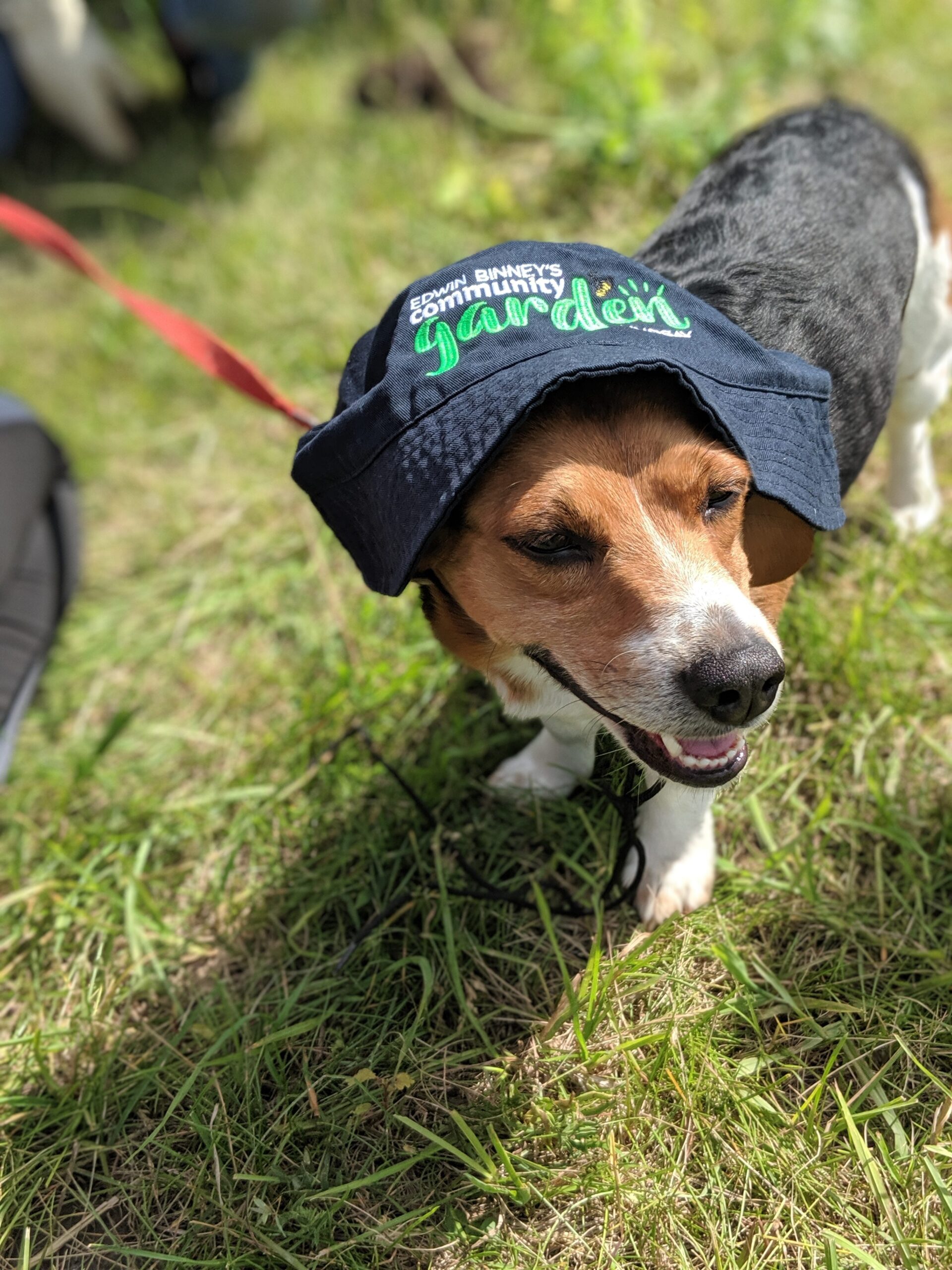 00100dPORTRAIT_00100_BURST20190612110702237_COVER