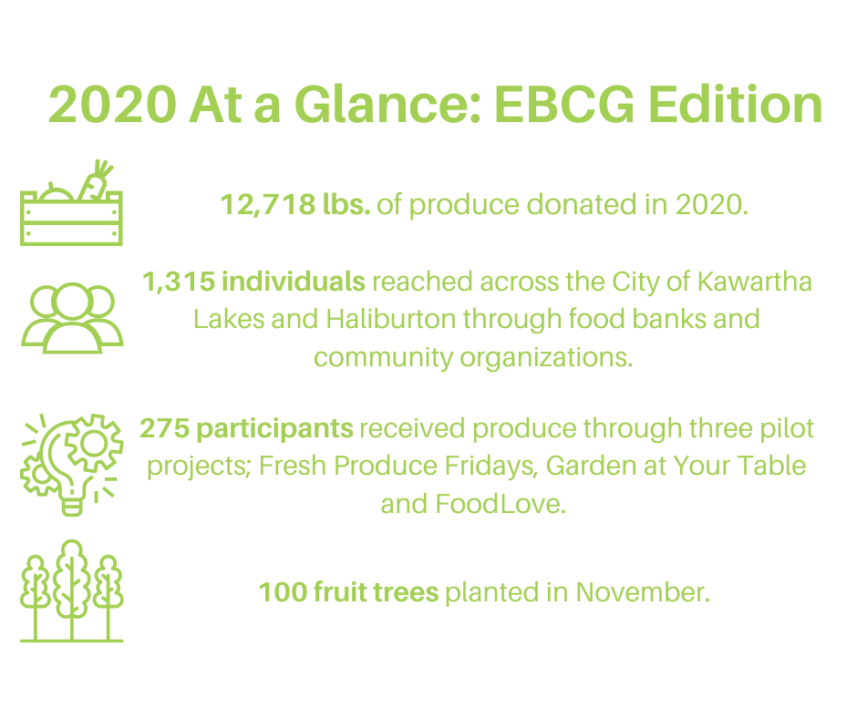 2020 At a Glance EBCG Edition