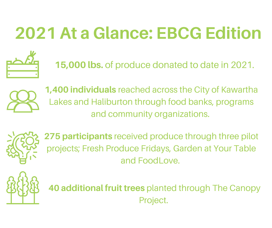 2021 At a Glance EBCG Edition Website