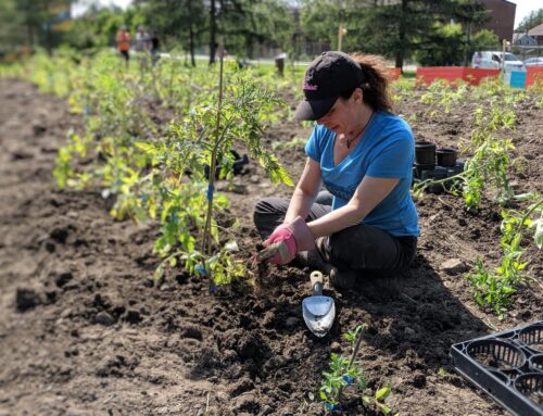 From the Ground Up: Soil