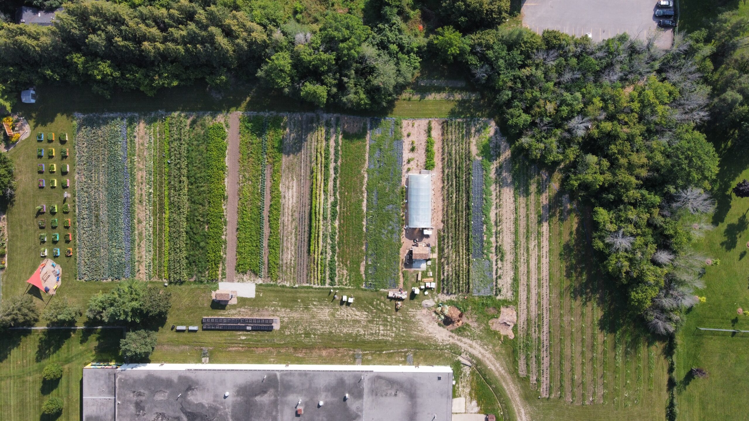 2021 bird’s eye view