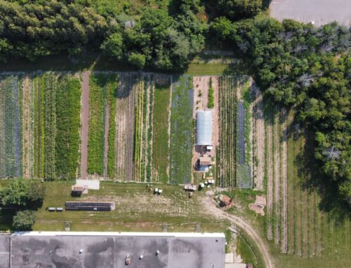 From the Ground Up:  Planning Your Garden